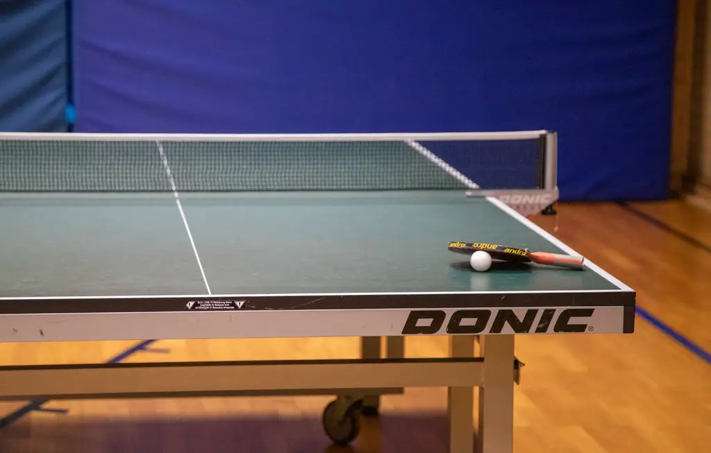 ITTF橡膠：台灣桌球愛好者的終極指南