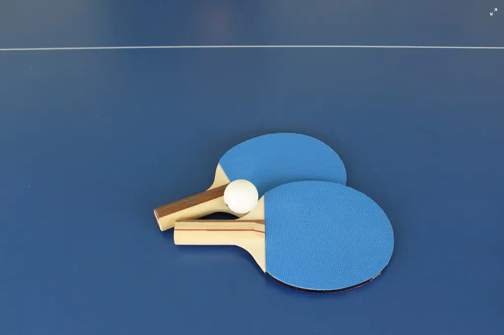 台灣桌球風雲：ITTF世界桌球賽事攻略